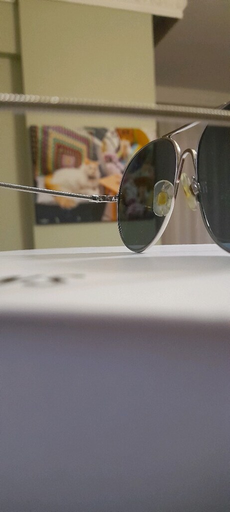 Web Eyewear Sun Glass - 7