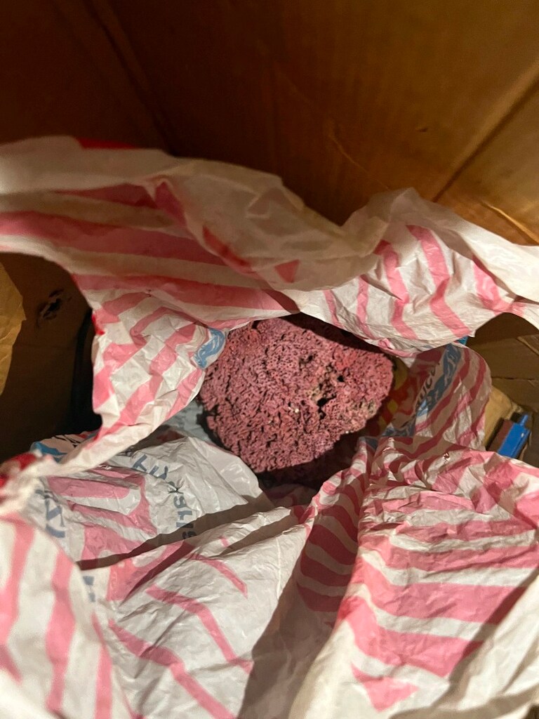 büyü boy dolaplı akvaryum malzemeleri yaninda hediye - 12