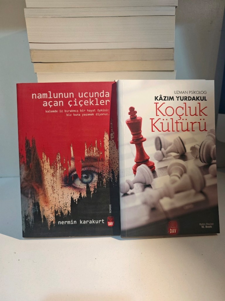 25 adetlik karışık kitap lotu. - 15