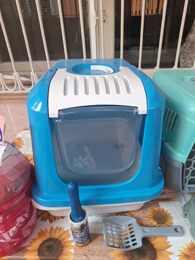 pet shop - 4