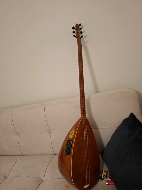 43 tekne ekozyer li jak girişli maun ağacı bağlama