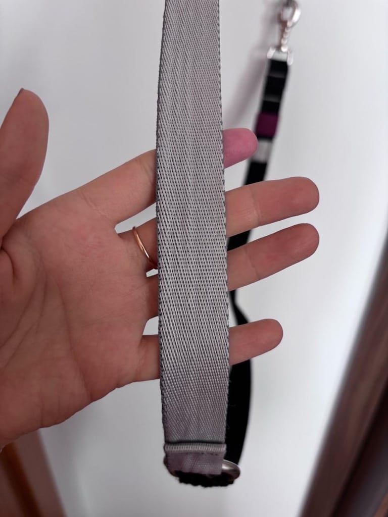 Jimi Pet Çekiştirme Önleyici Köpek Tasma Seti - 3
