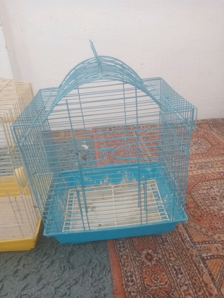 Kafes - 3