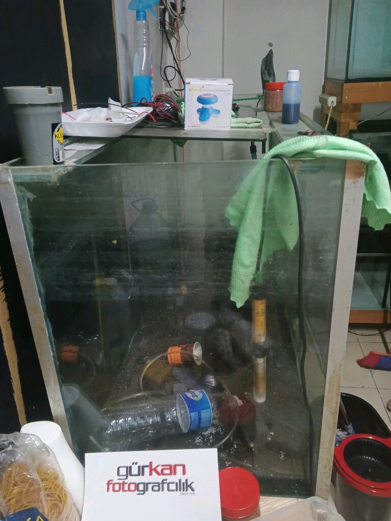 üretim için müsait bı akvaryum i - 2