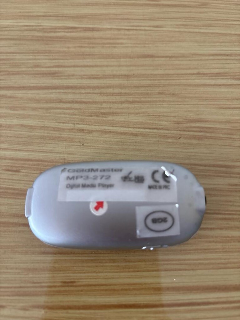 Goldmaster pembe mp3 player - ses kayıt cihazı - 2