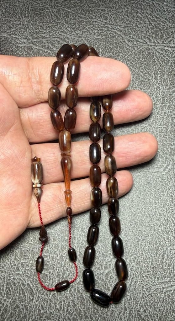 karetta bağa - 2