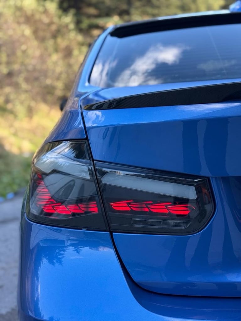 f30 dragon stop - 5