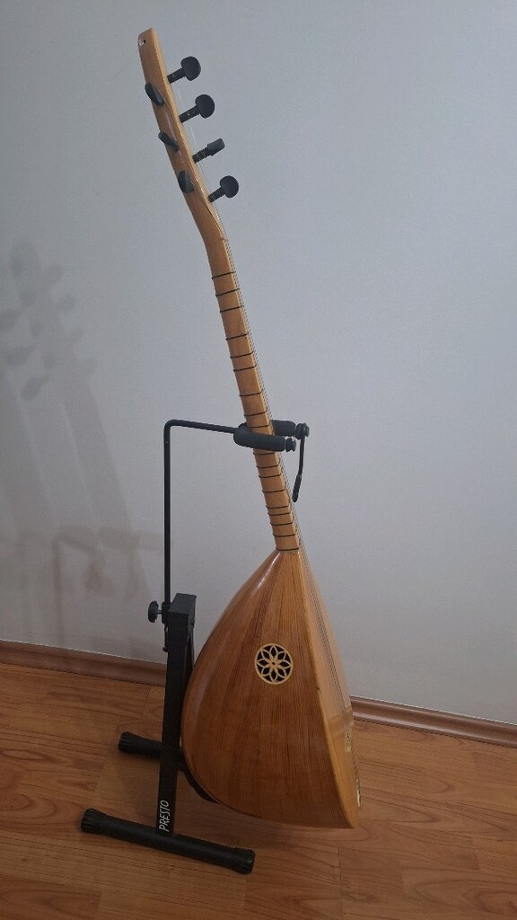Saz Bağlama (Kılıflı) - 3