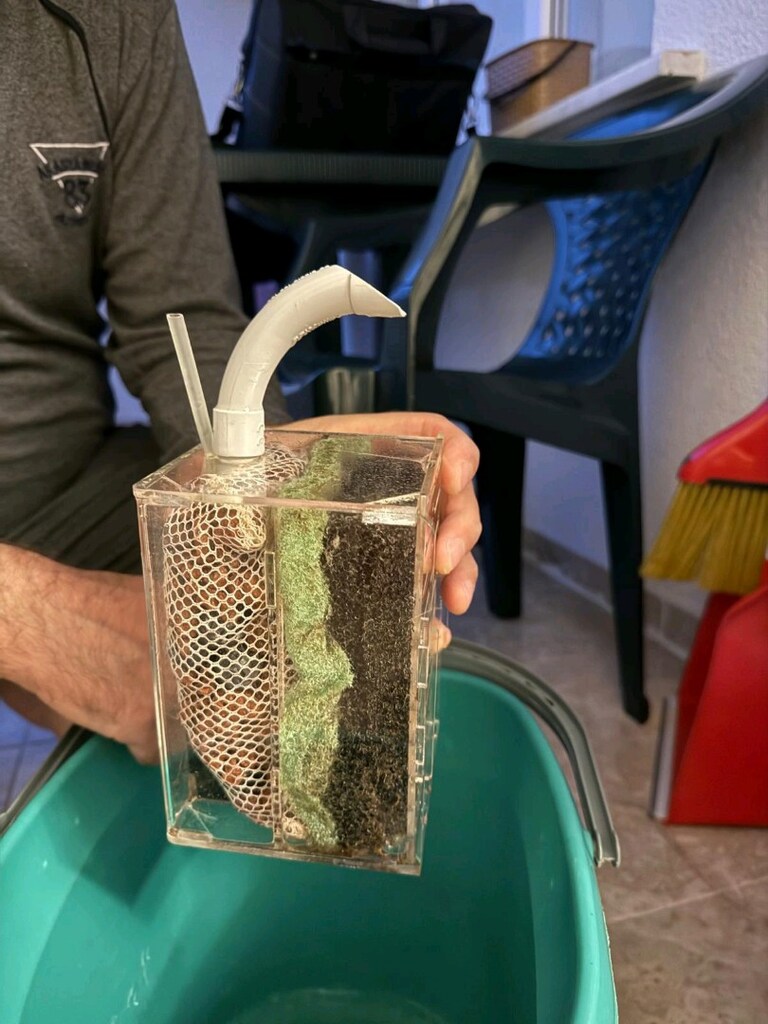 akvaryum sump filitre pipo flitre - 3