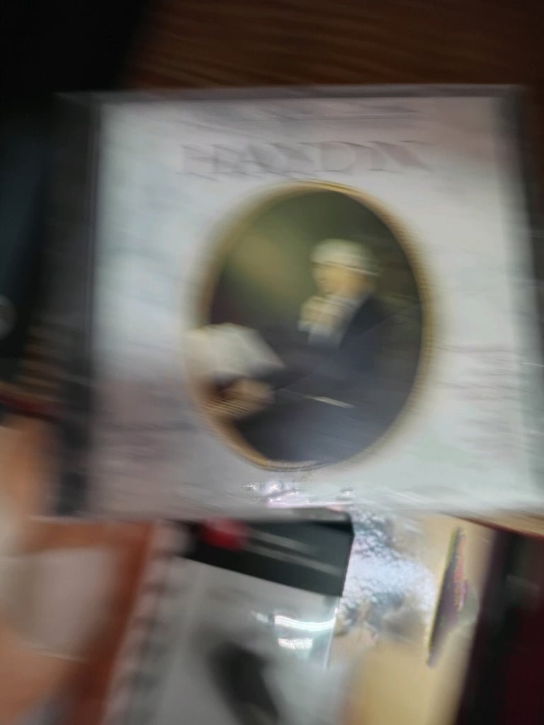 KLASIC MÜZIK CD SÌ AMBALAJINDA - 6