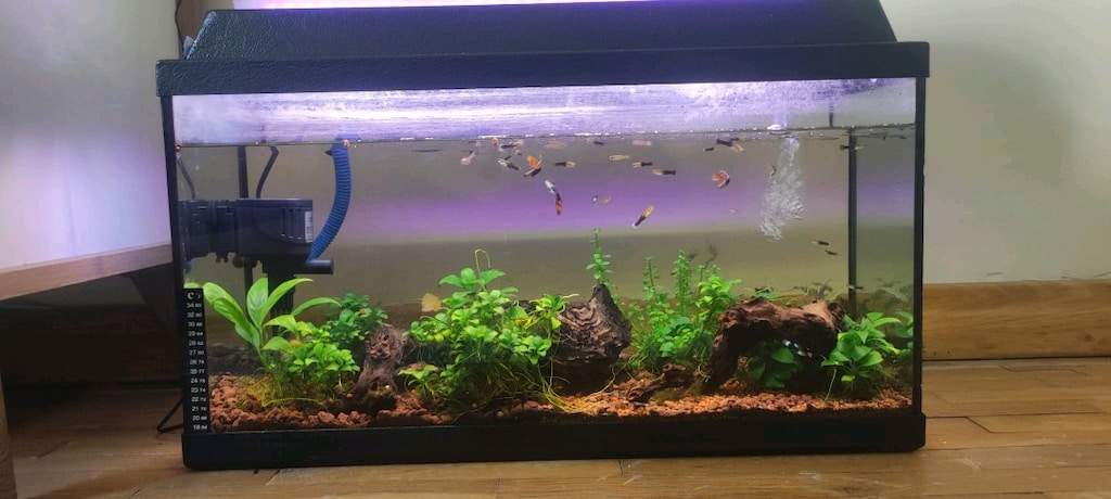 65x35x23 cm 52 Litre Akvaryum Tam Set - 3