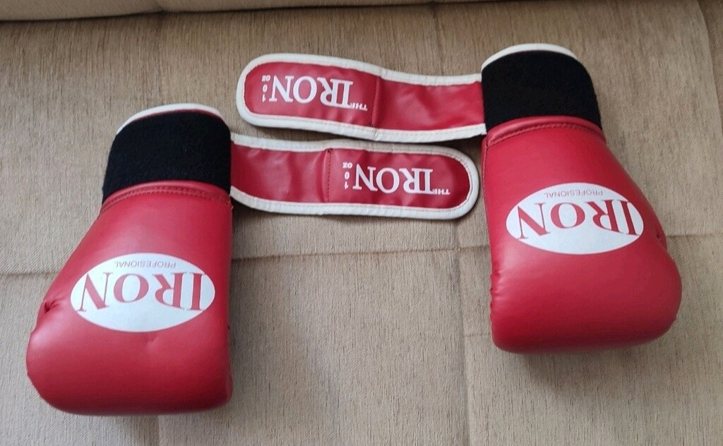 The Iron Profesional 10 OZ boks eldiveni temizdir - 4