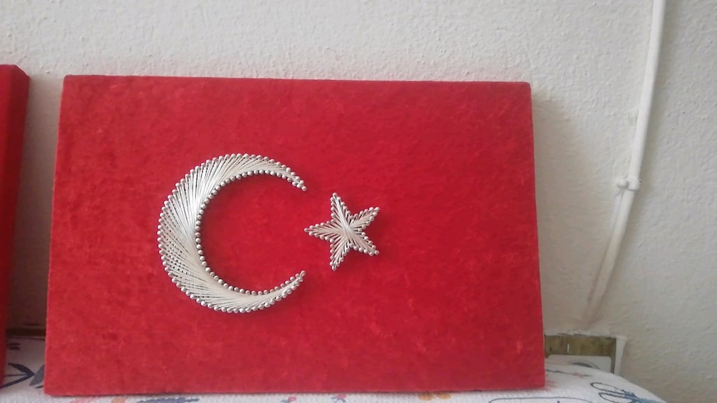 Türk bayrağı - 9