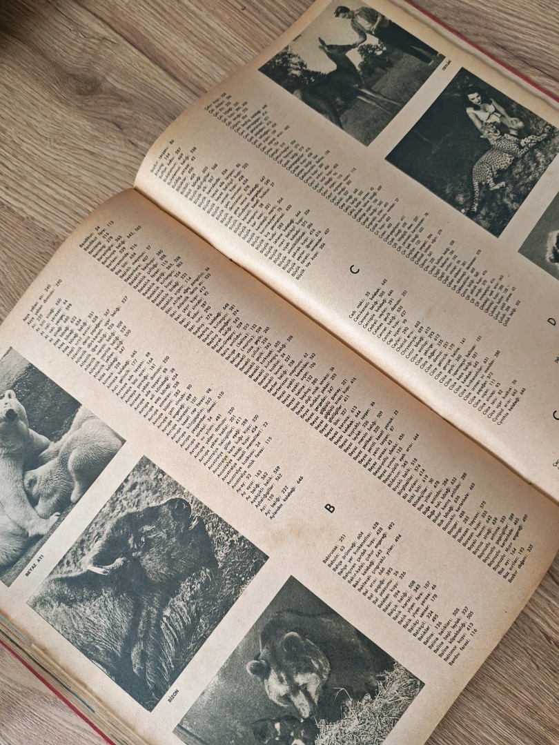 1966 Nisan Baskısı Hayat Hayvanlar Ansiklopedisi – Tek Cilt, Eski Bası - 5