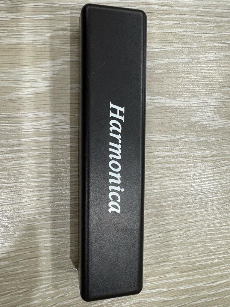 Yuemei 24 Delikli Profesyonel Tremolo Mızıka - Sıfır. - 5