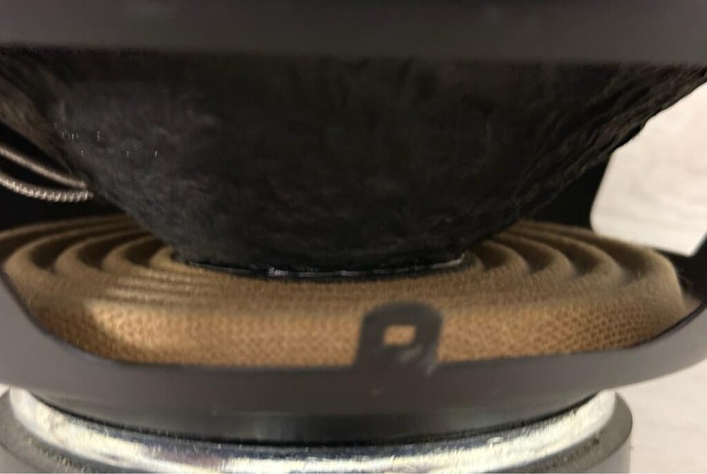 25 CM 200 RMS CLİFFORD BASS WOOFER SUBWOOFER BUFUR BUFIR BUFFER BAS - 4