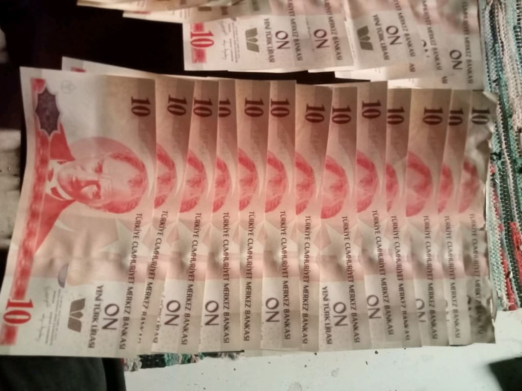 koleksiyonluk eski YTL paralar - 14