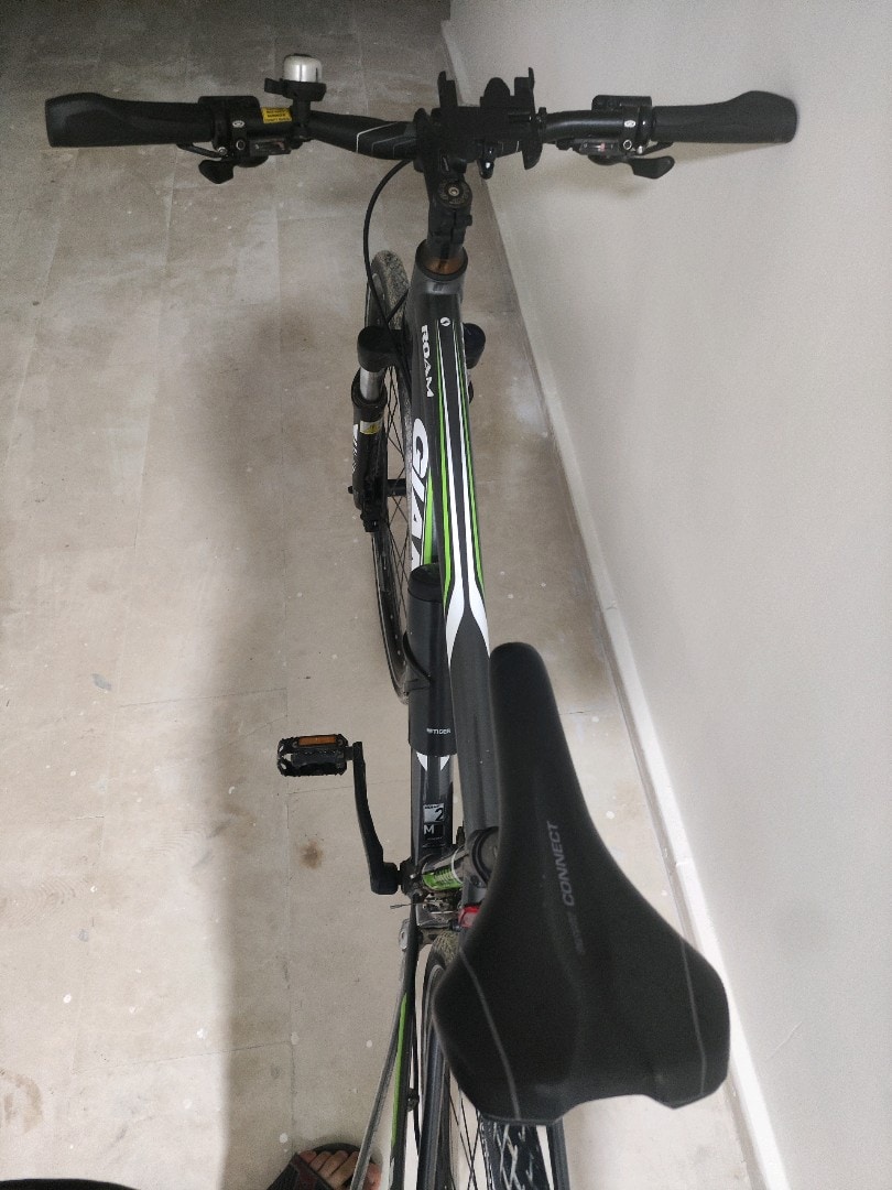 Giant Roam 2 Disc bisiklet - 2