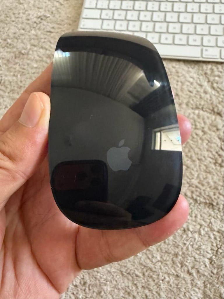 Apple Touch ID klavye ve siyah mouse - 2