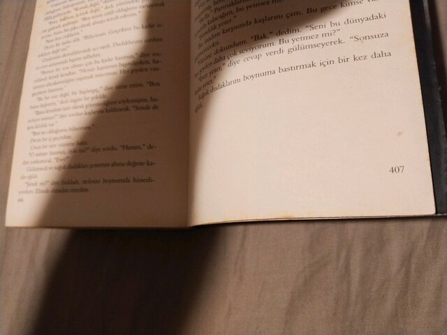 Alacakaranlık kitap