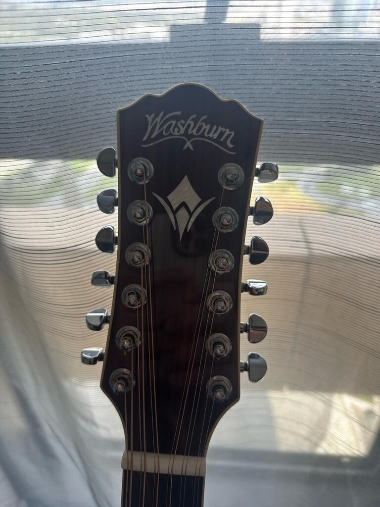 Washburn 12 Telli Elektro Akustik - 2