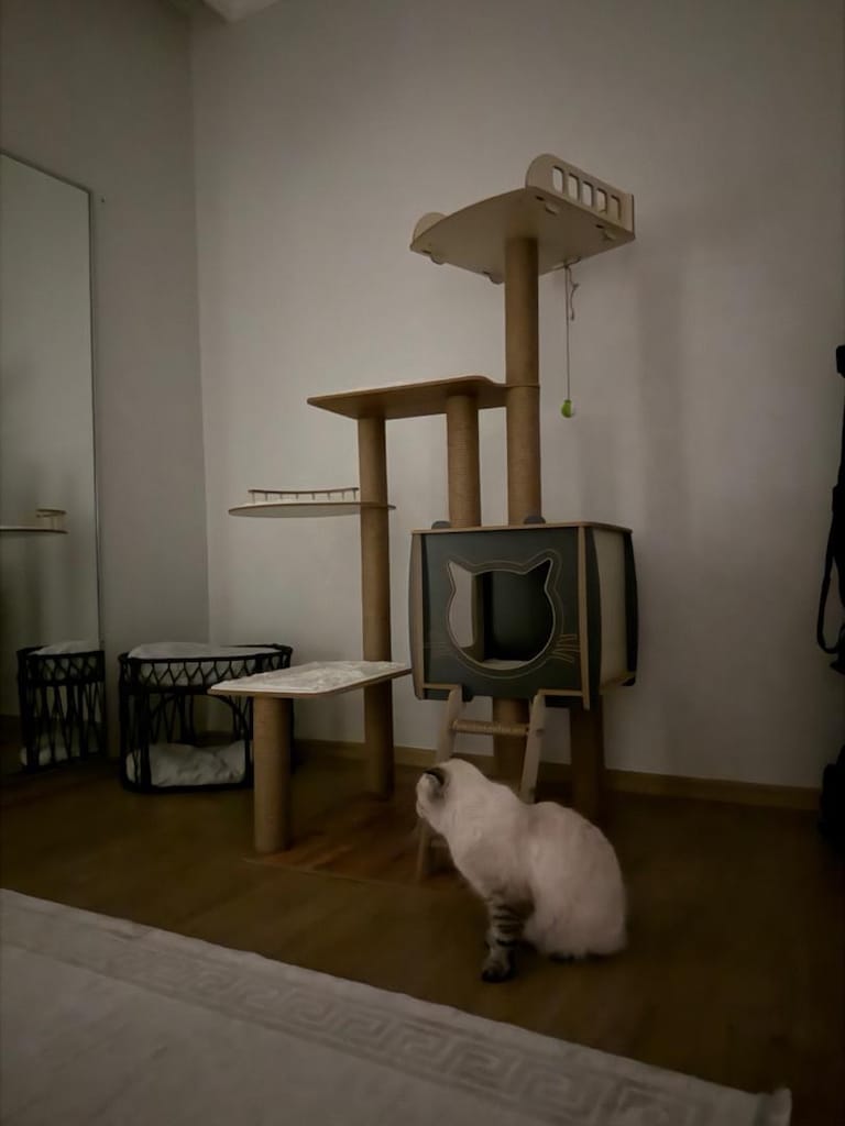 Patihomes Pati Homes XI Katlı Kedi Oyun Evi Köşk Gri - 2