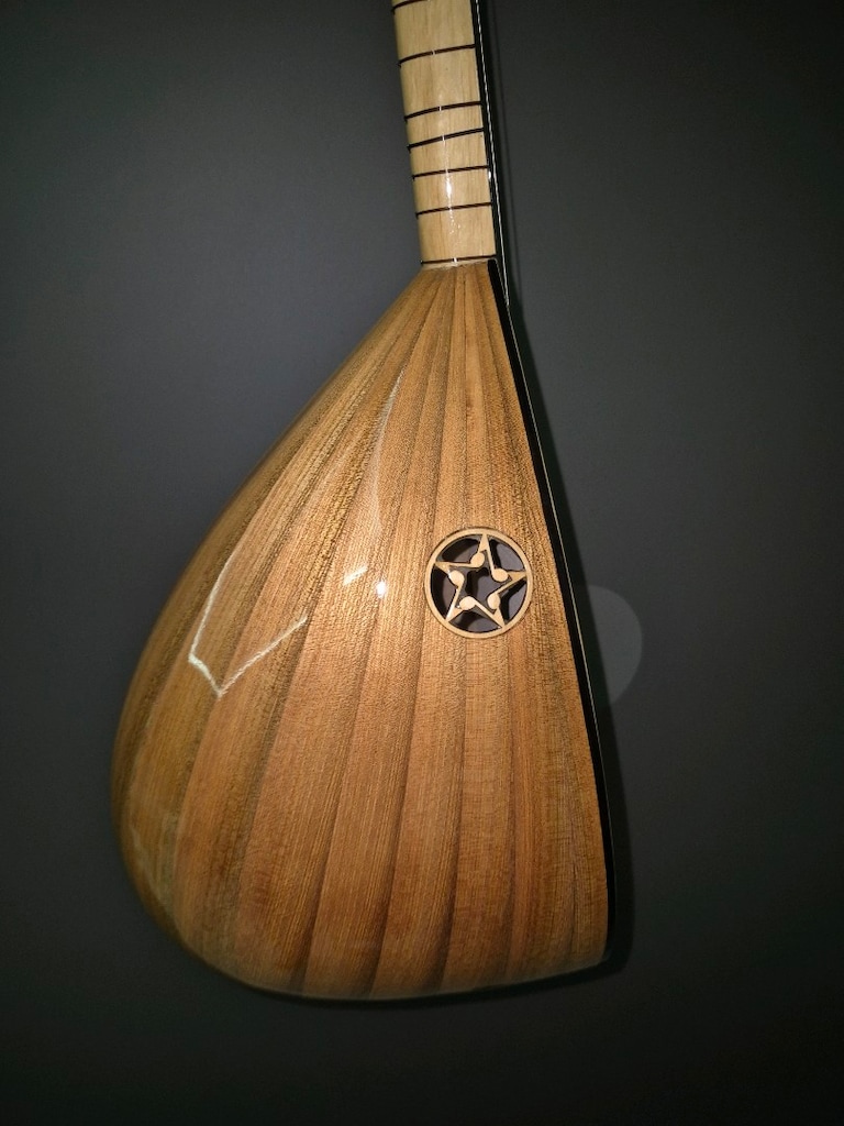 Kısa Sap Saz Bağlama Jack Girişli taşıma çantası kılıfı - 3
