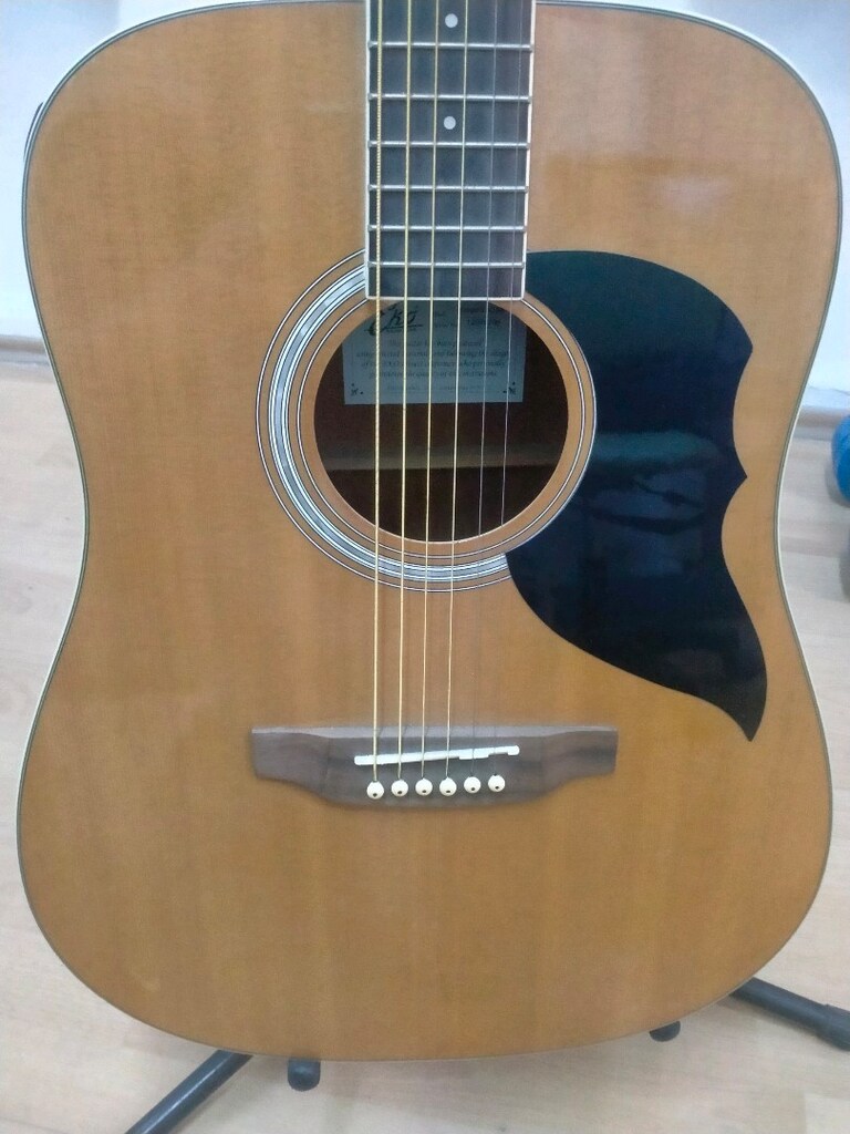 Akustik gitar - 2