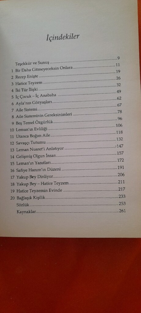 YETİŞKİN ÇOCUKLAR, DOĞAN CÜCELOGLU - 3