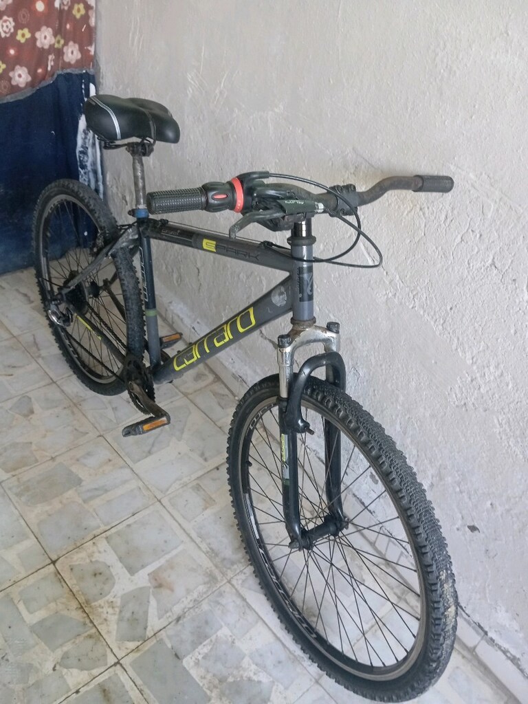 Carraro bisiklet - 2