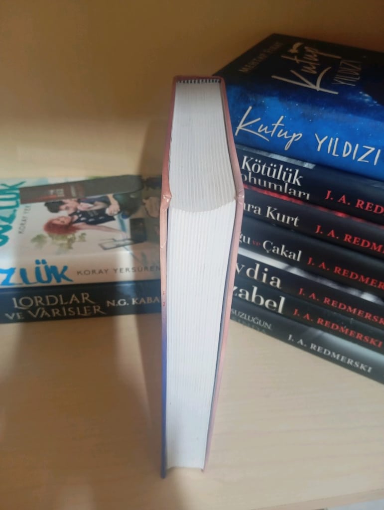 SMMM ve YMM İçin SSK Raporlama Kılavuzu - 5
