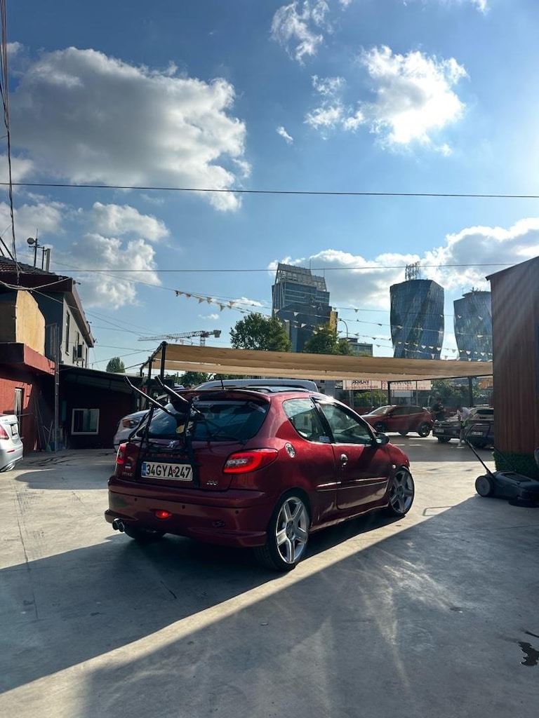 Tertemiz peugeot 206 - 5