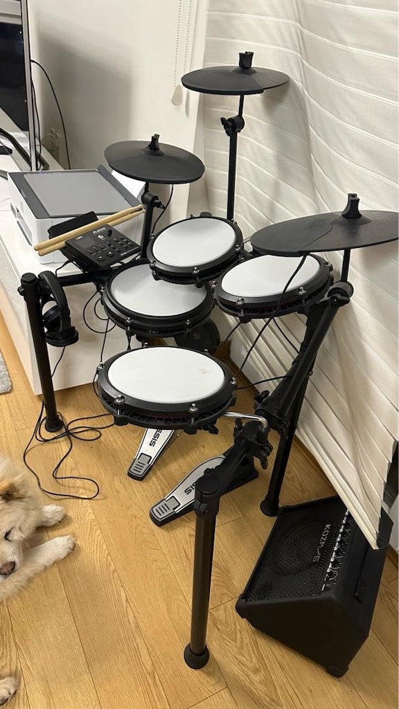 Alesis Nitro Max Elektronik Davul – Çok Az Kullanıldı, Tertemiz - 4