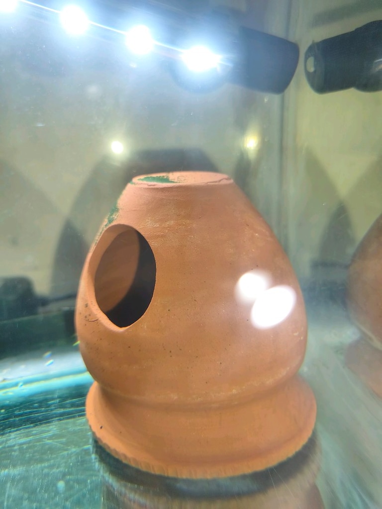 Satılık Balıkla Beraber Akvaryum Açıklamayı Okuyunuz - 3