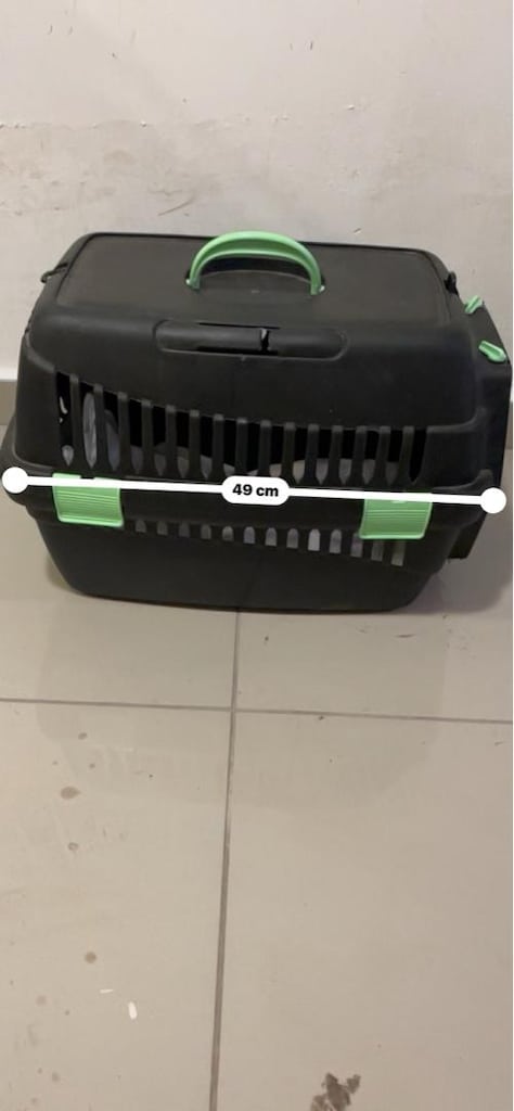 pet taşıma - 2