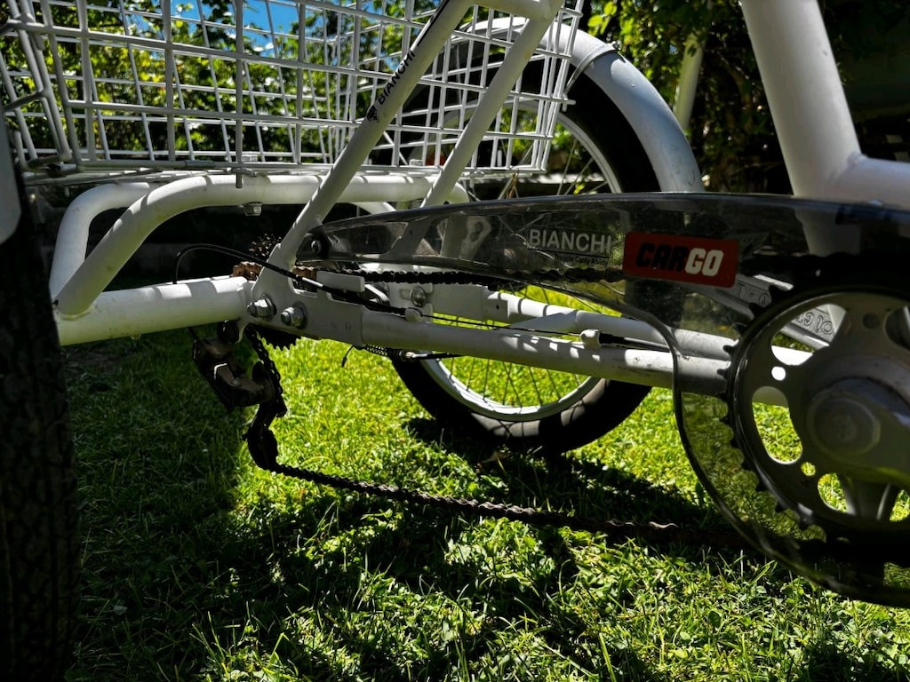 Bianchi üç tekerlekli bisiklet - 8