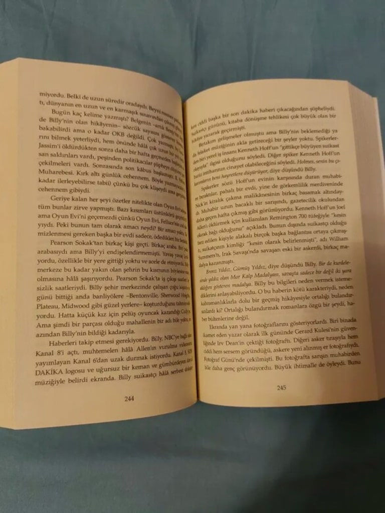 Billy Summers (Roman) - 4