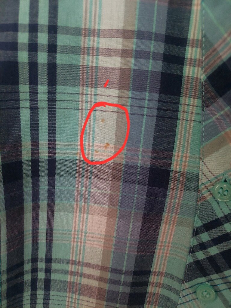 LCW kadın turkuaz Ekose desenli gömlek - 6