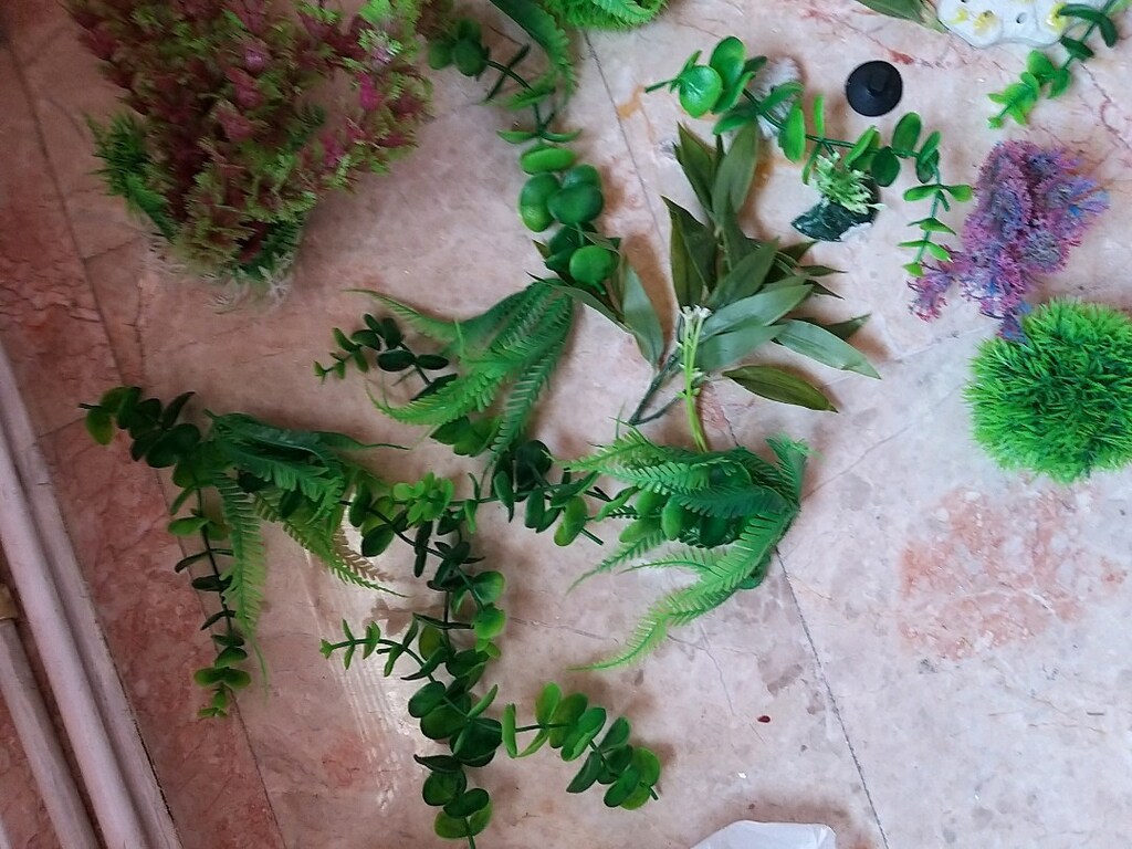 akvaryum taslari - 6