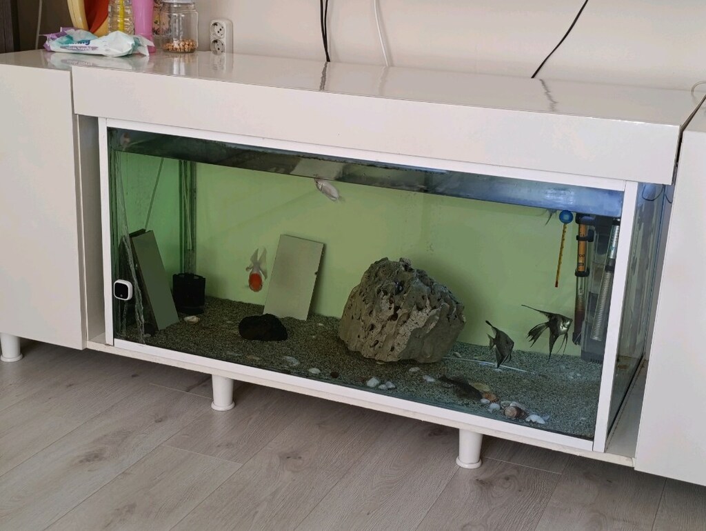 vitrinli Akvaryum - 2