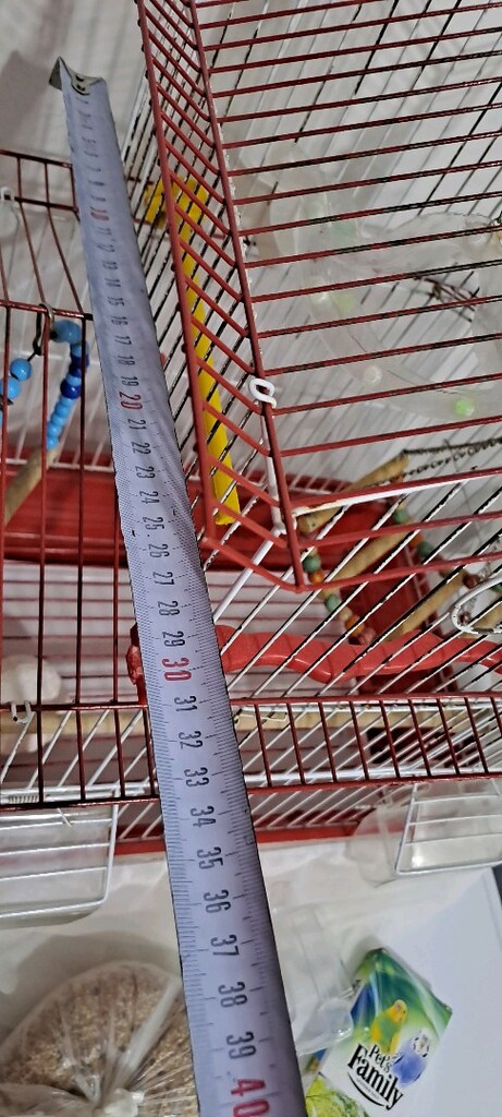 Muhabbet kuşu kafesi 500 tl Araç gereçleri ve gıdaları fazlası ile var - 2