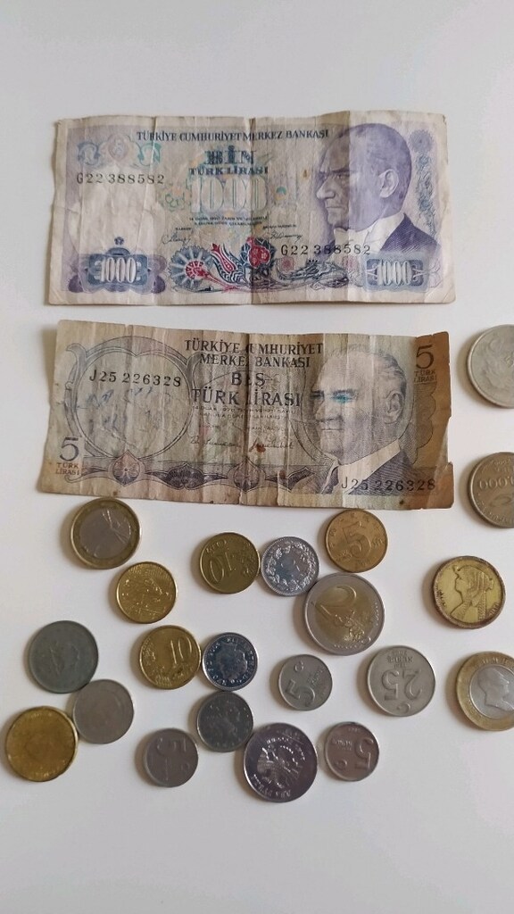koleksiyon sevenler eski paralar - 6