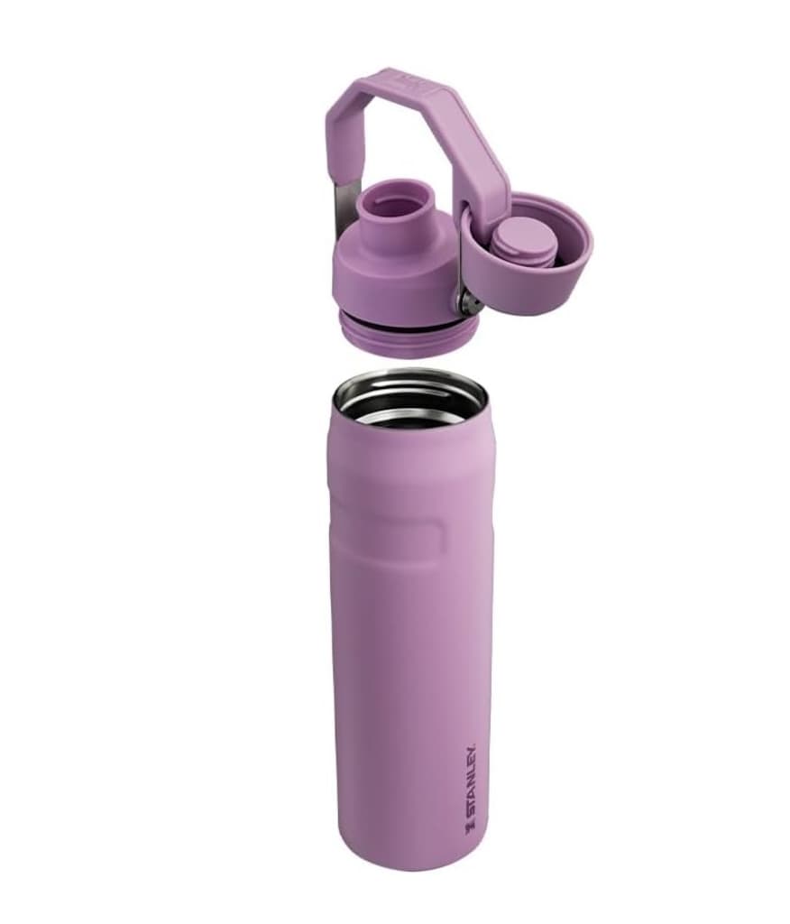 Stanley Aerolight IceFlow Fast Flow İçecek Şişesi, 0.60 Litre, Lila - 4