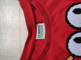 LCW 4-5 yaş erkek çocuk baharlık sweat - 3