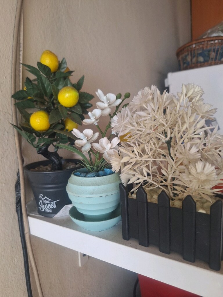limon yapay ağacı - 5