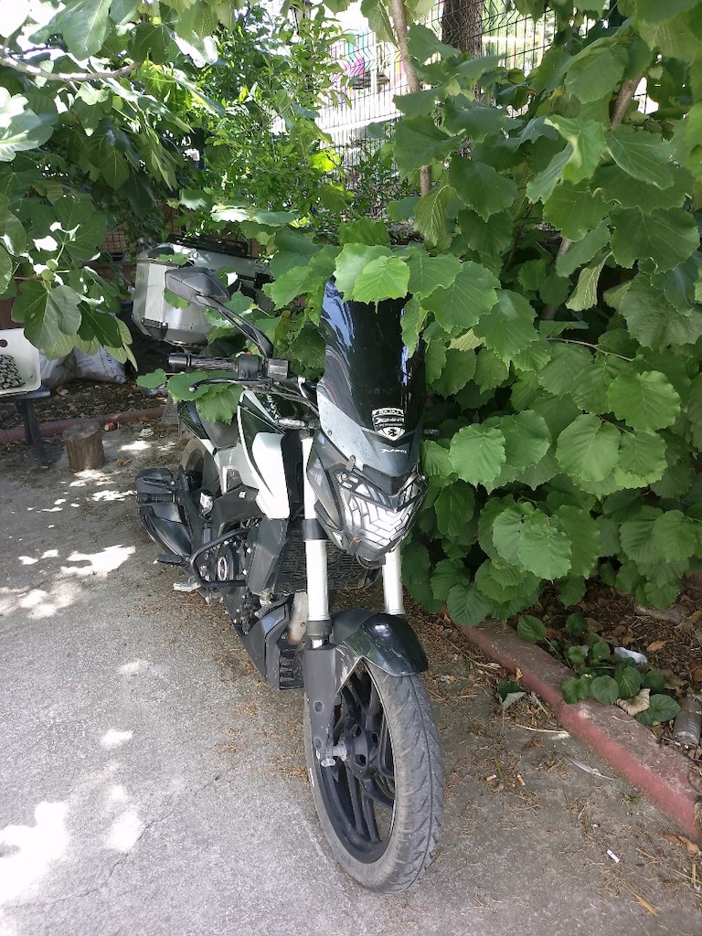 dominar 250 D - 6