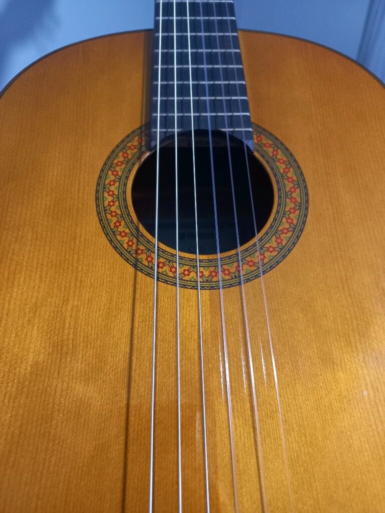 Yamaha Klasik Gitar - 2