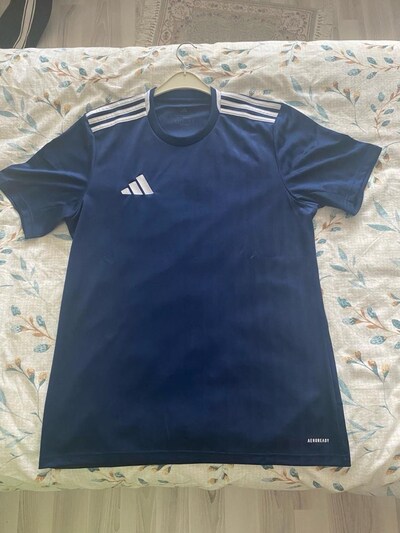 Adidas Orjinal Striped24 T-shirt