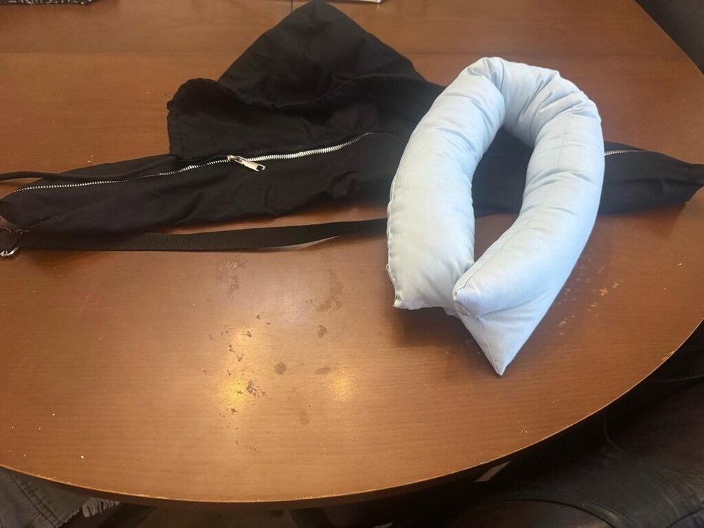 kapak görselinindeki seyahat yastığının aynısı - 4