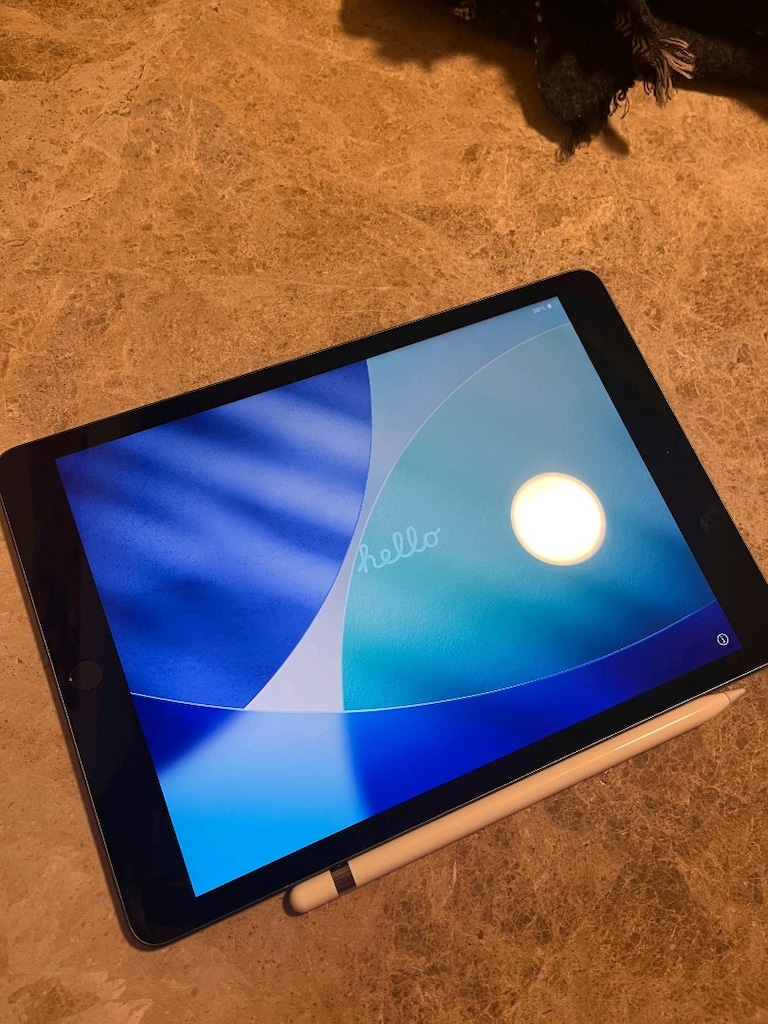 İpad (6. Nesil) 128 GB - 3